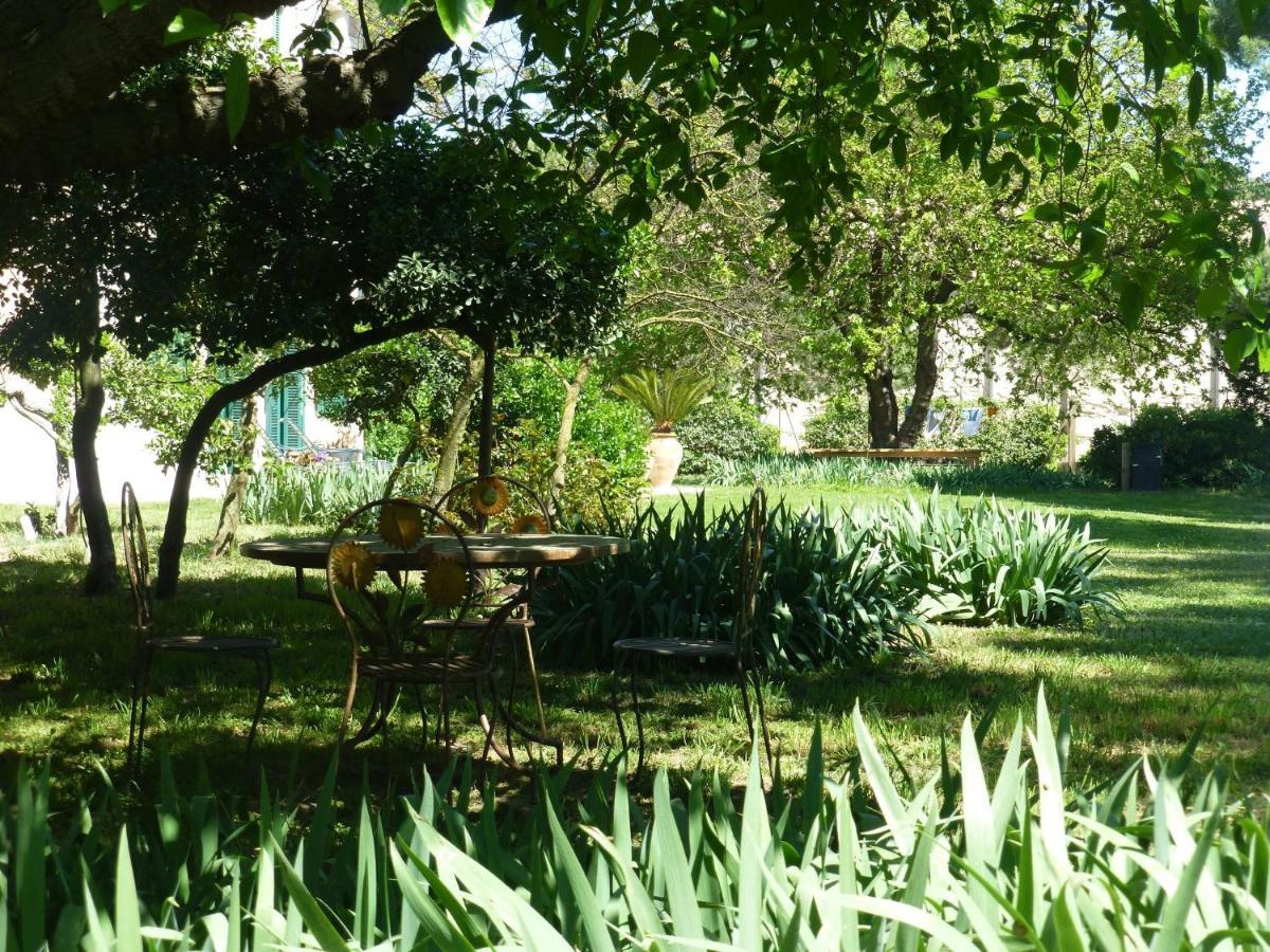 Guest house La Maison Du Mole Aigues-Mortes